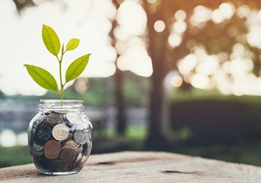 Small plant growing out of a jar full of coins